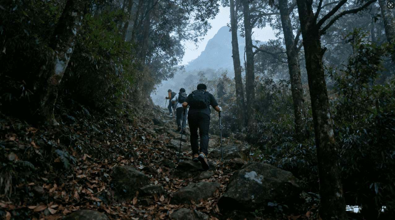 VPN加速器每天一小时的实用技巧